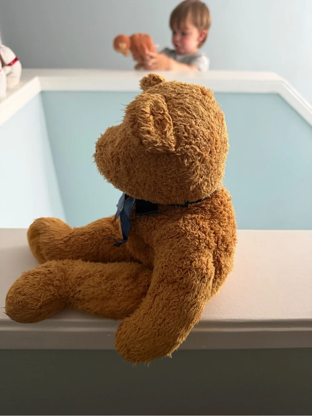 TY Beanie Baby FUZZ the Bear 8.5” Plush Stuffed Animal Toy Collectible No Tag
